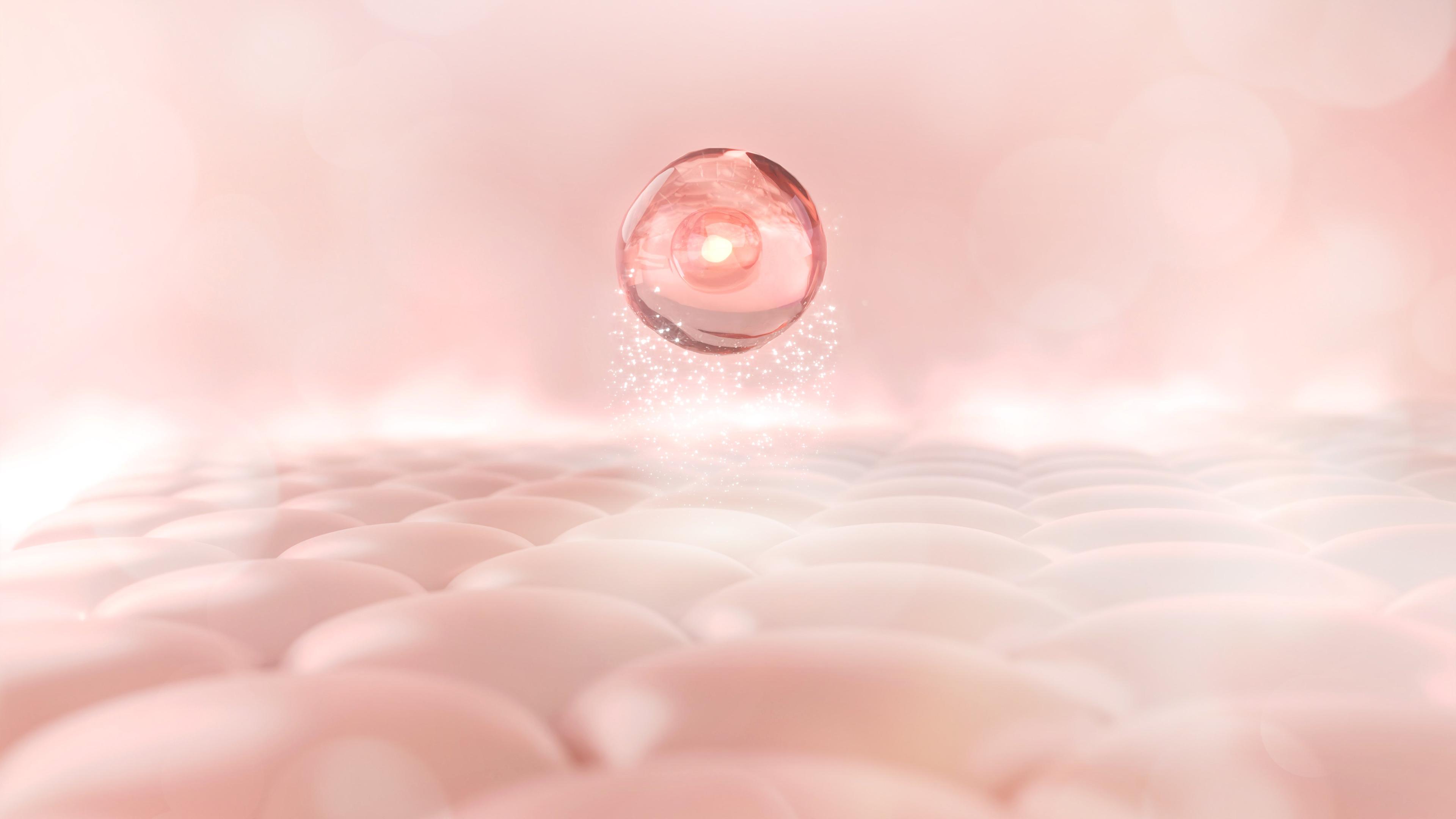 visuel NAOS Research
