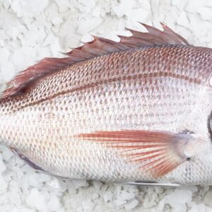 Cá Tráp Hồng Tự Nhiên DORADE ROSE SAUVAGE